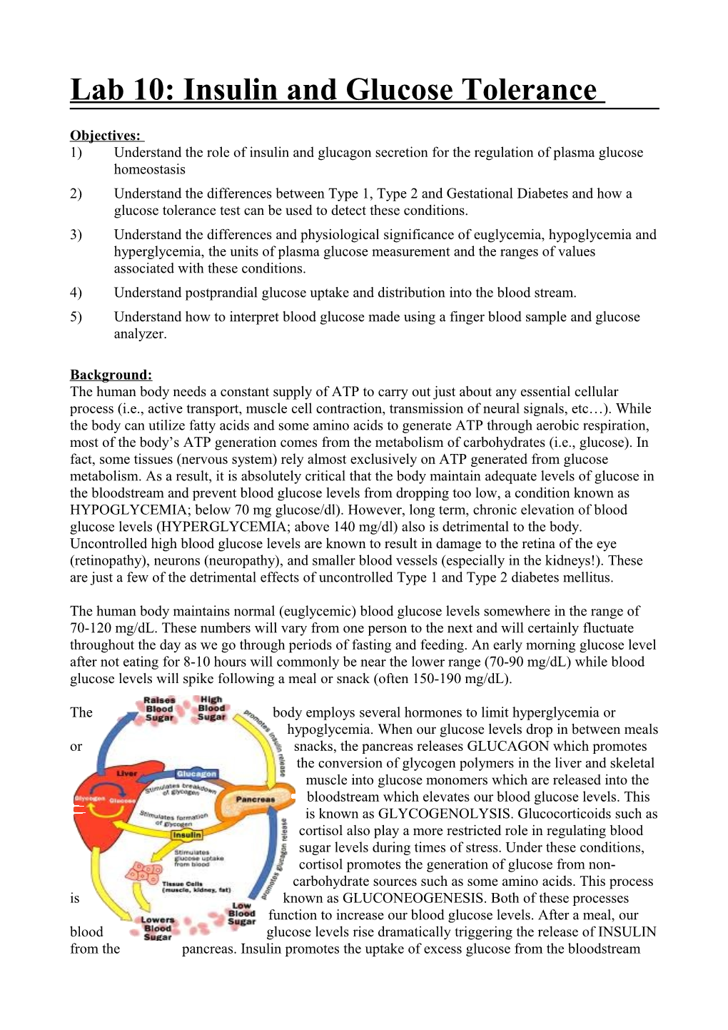 Lab 10: Insulin and Glucose Tolerance