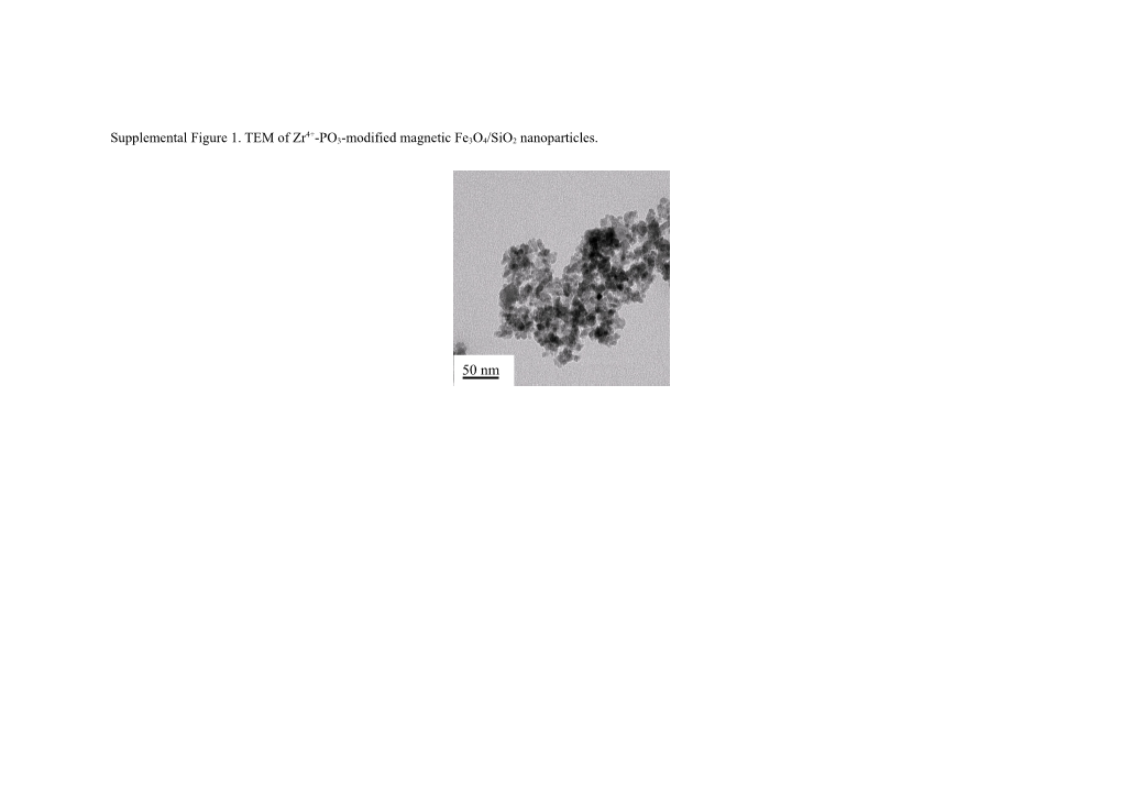 Supplemental Figure 1. TEM of Zr4+-PO3-Modified Magnetic Fe3o4/Sio2 Nanoparticles