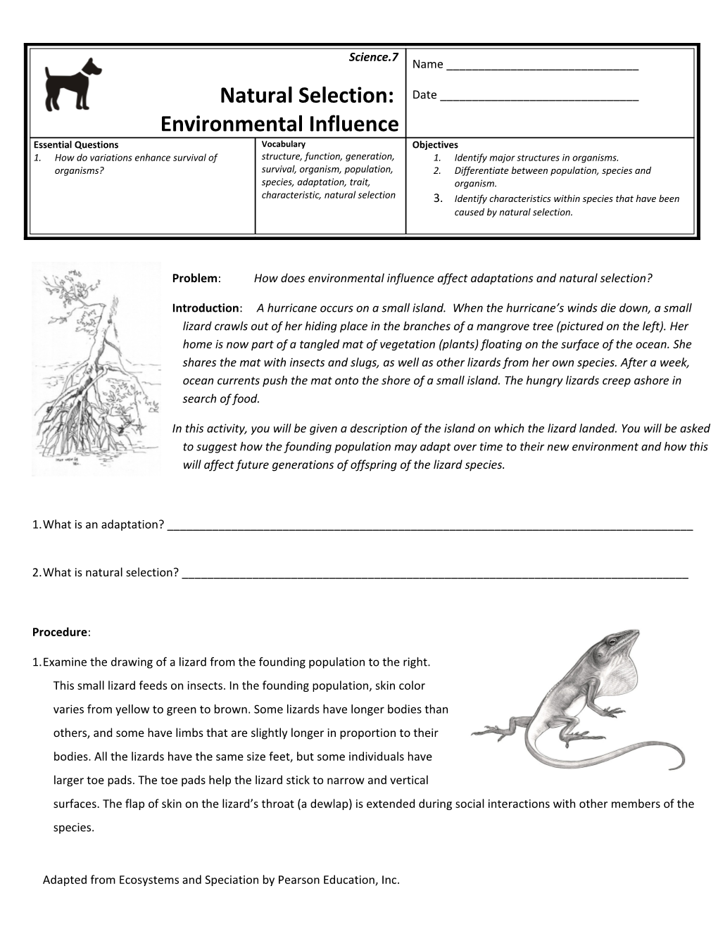 Problem: How Does Environmental Influence Affect Adaptations and Natural Selection?