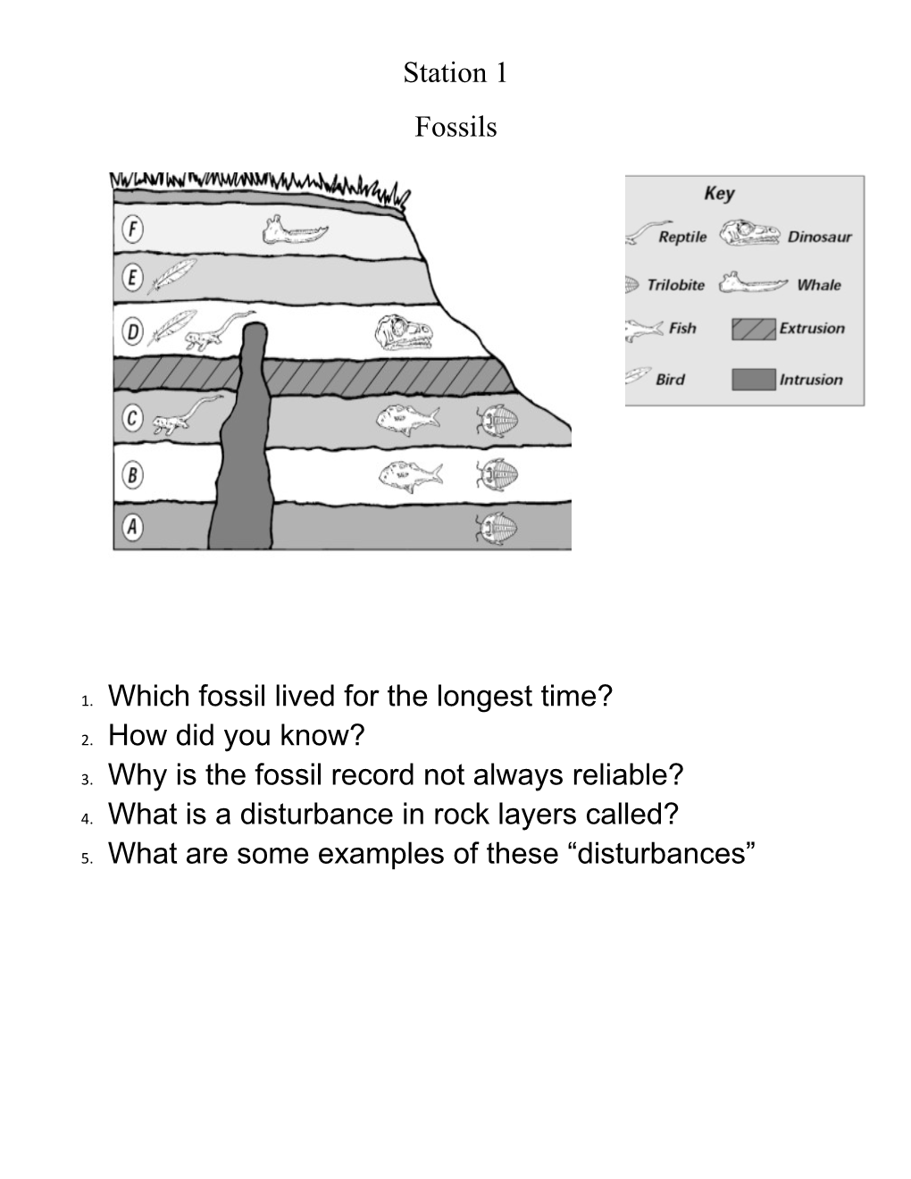 1. Which Fossil Lived for the Longest Time?