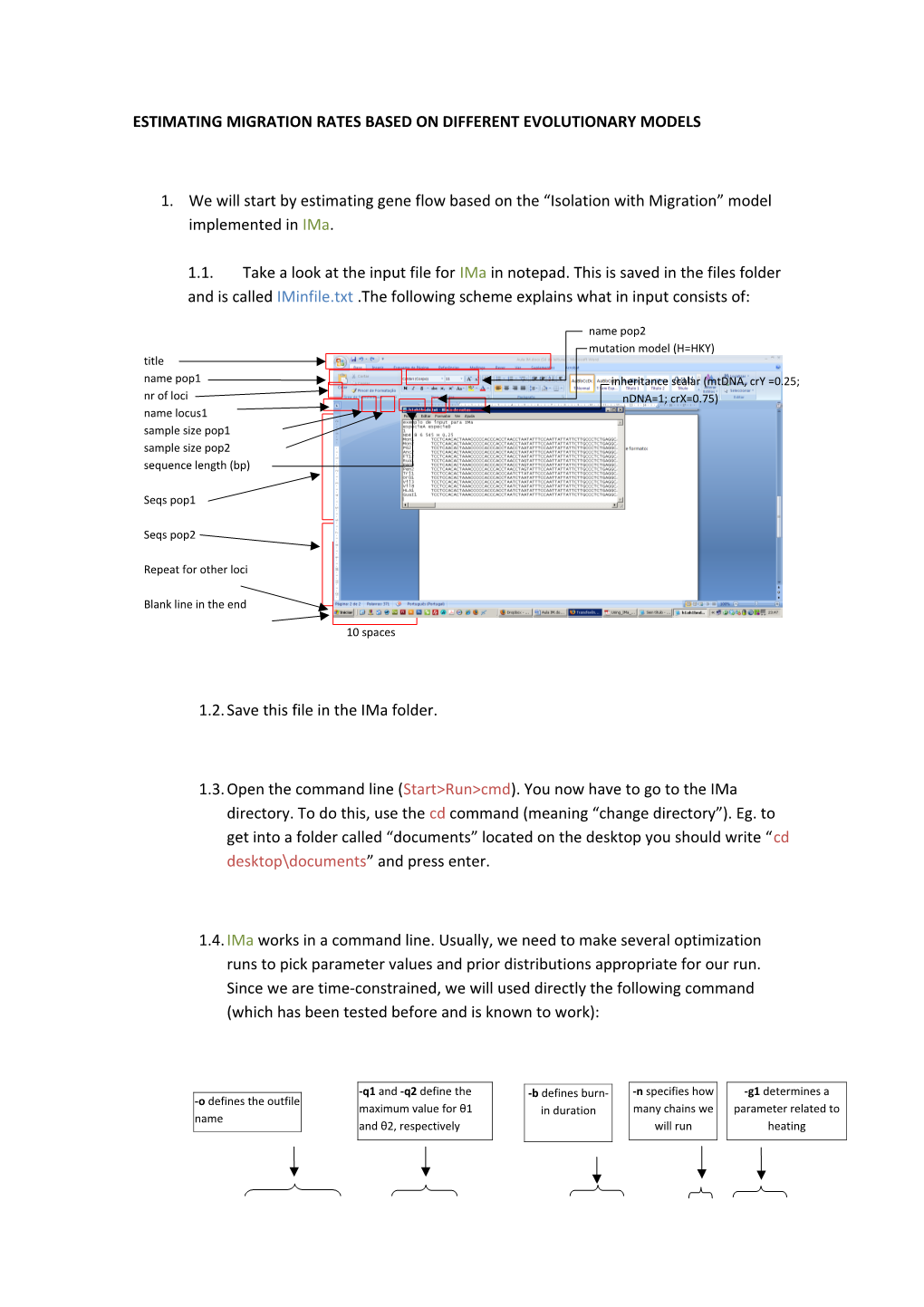 Estimating Migration Rates Based on Different Models