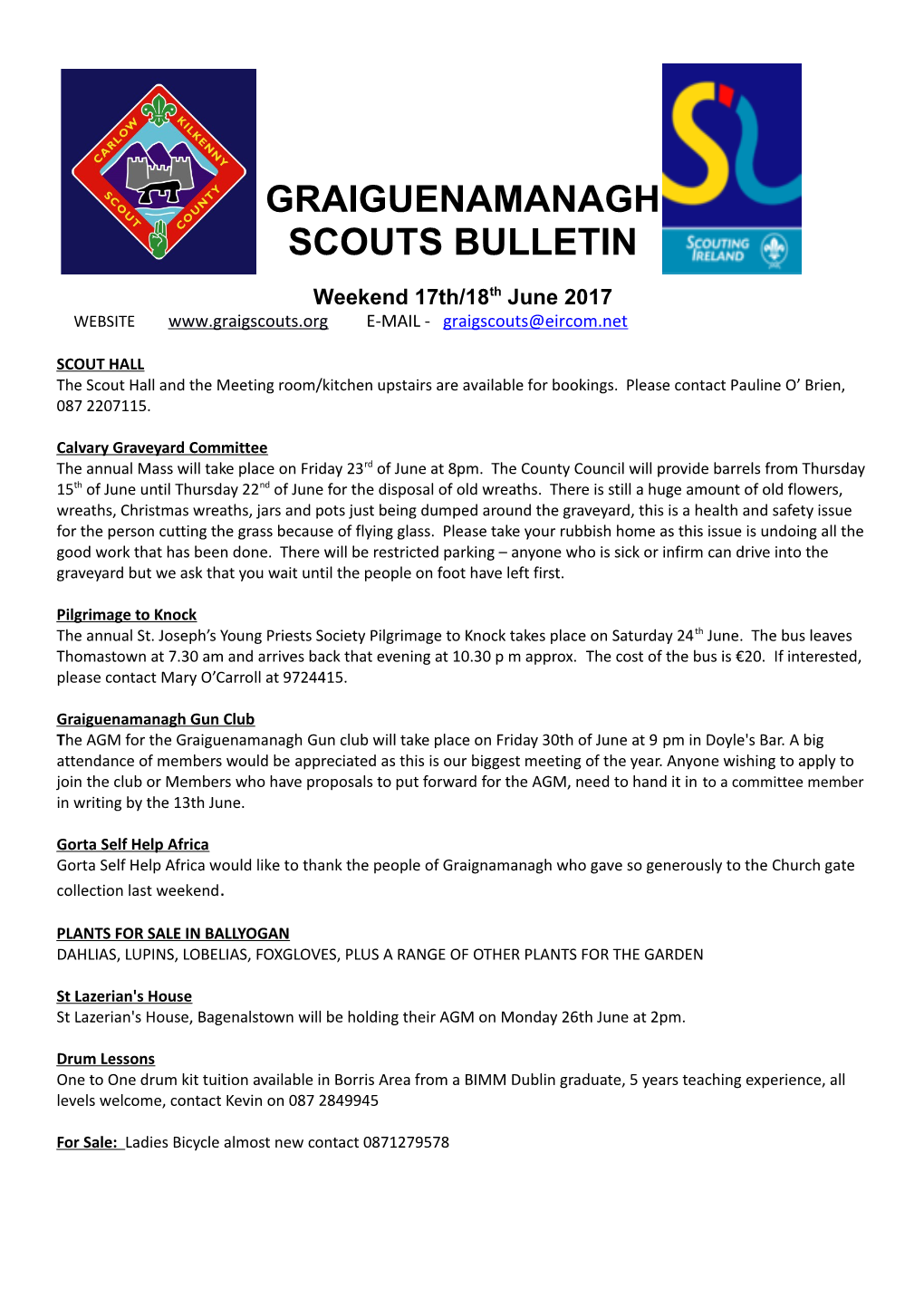 Scouts Bulletin s2