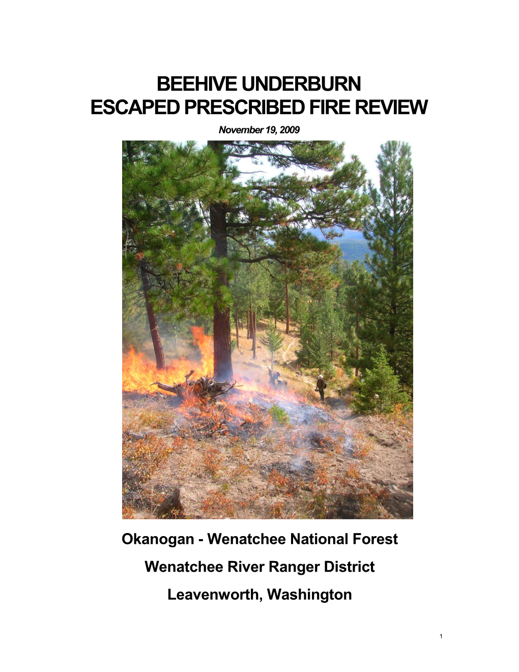 Escaped Prescribed Fire Review