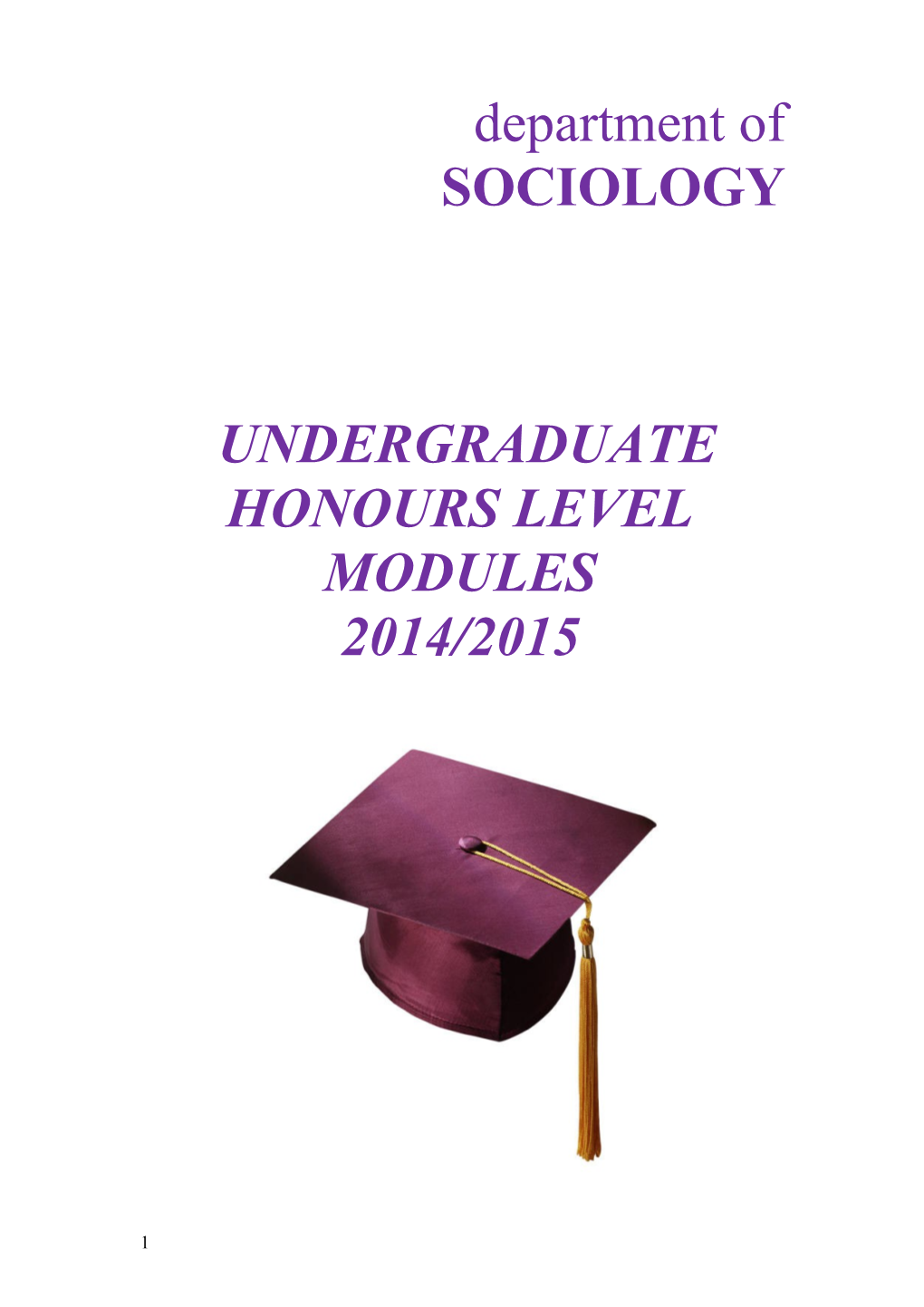 Undergraduate Honours Level Modules