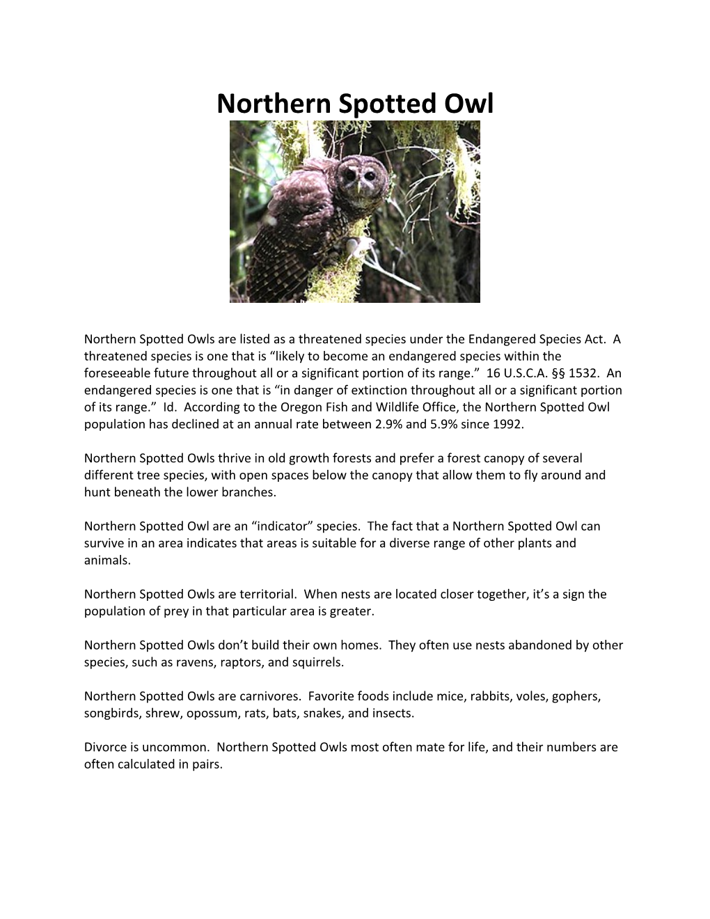 Northern Spotted Owl (S0060239)