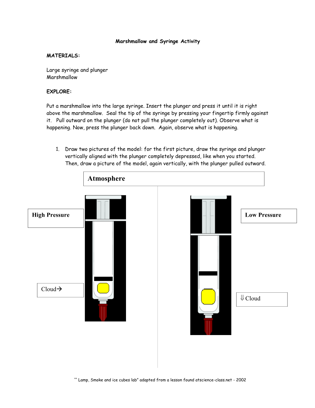 Marshmallow and Syringe Activity