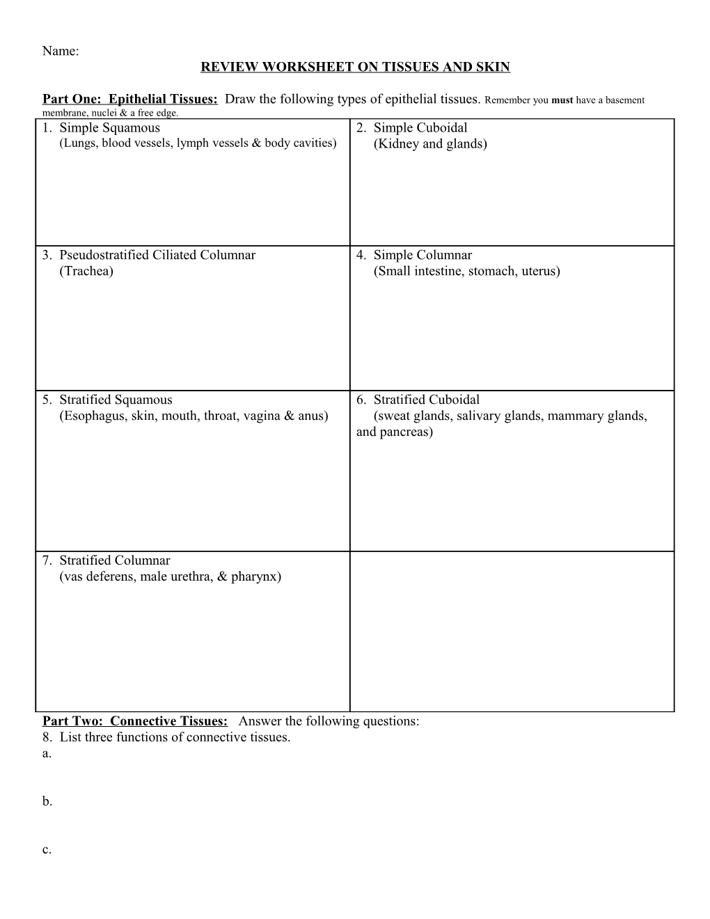 Review Worksheet on Tissues and Skin