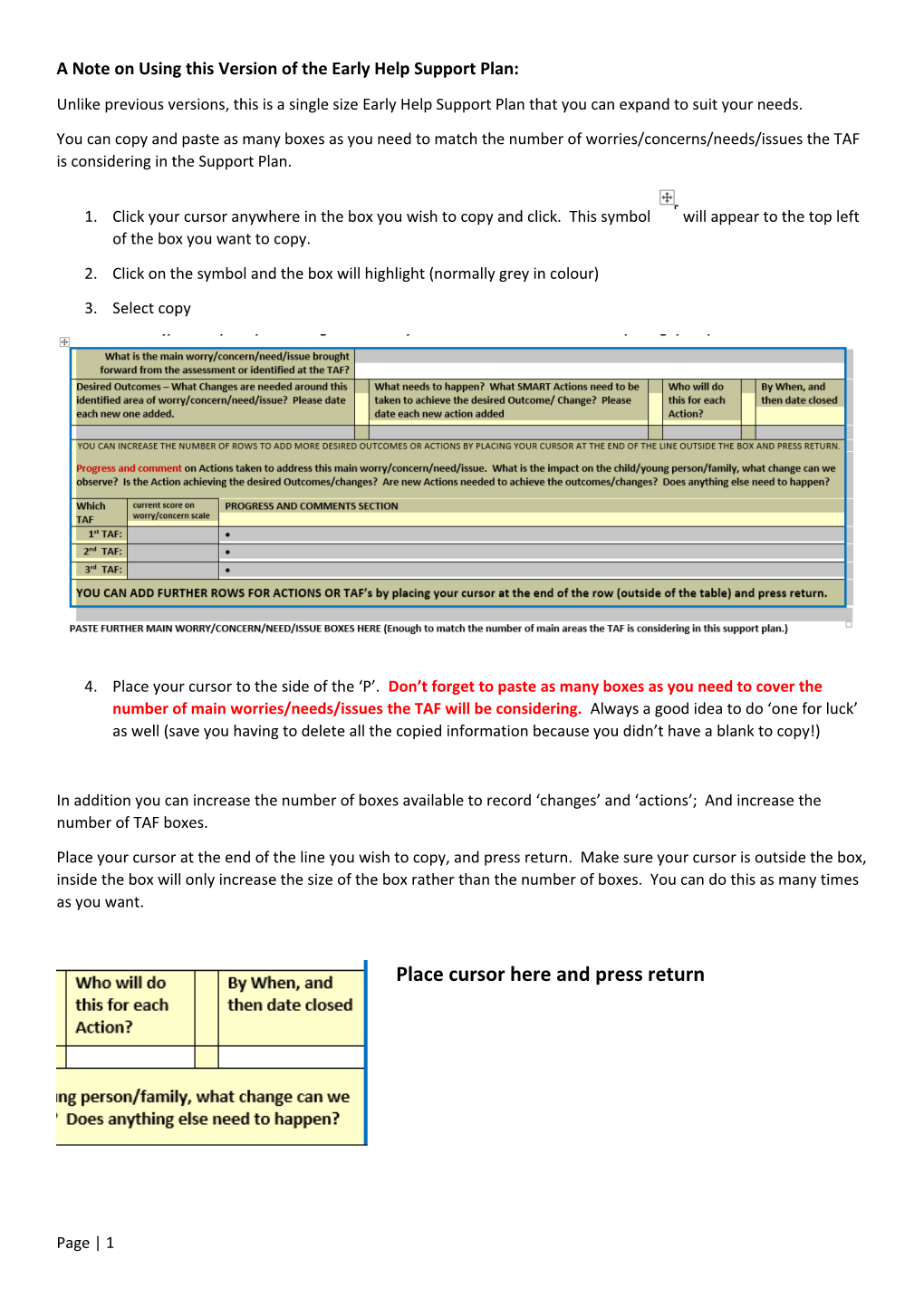 TAF Support Plan and Review