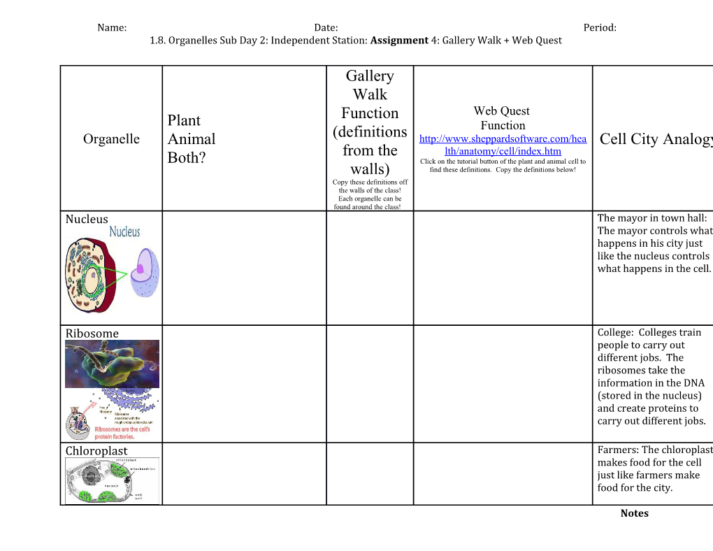 1.8. Organelles Sub Day 2: Independent Station: Assignment 4: Gallery Walk + Web Quest