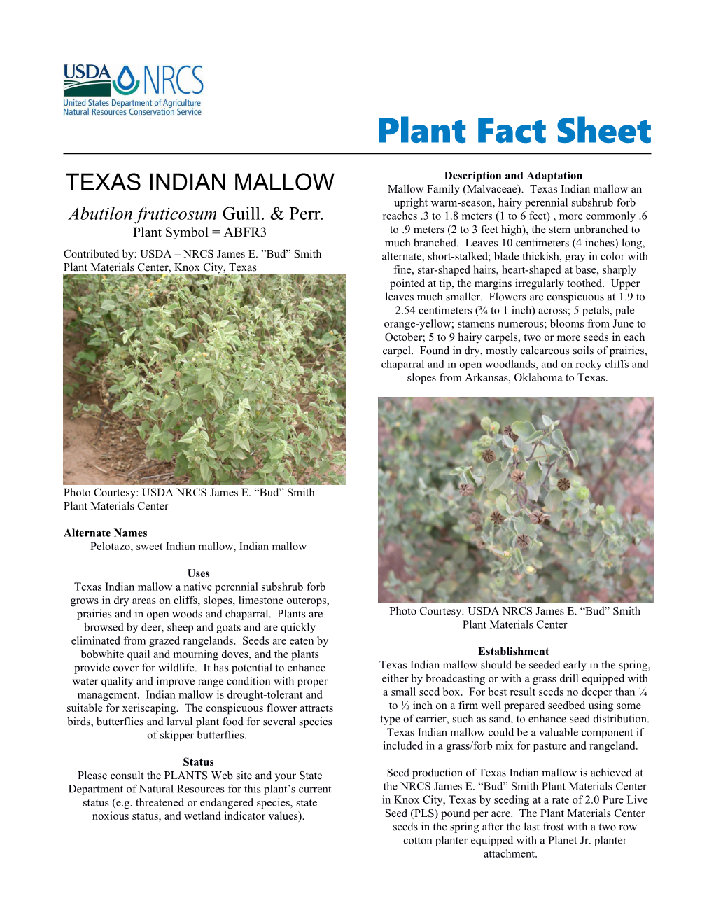 Plant Fact Sheet Texas Indian Mallow