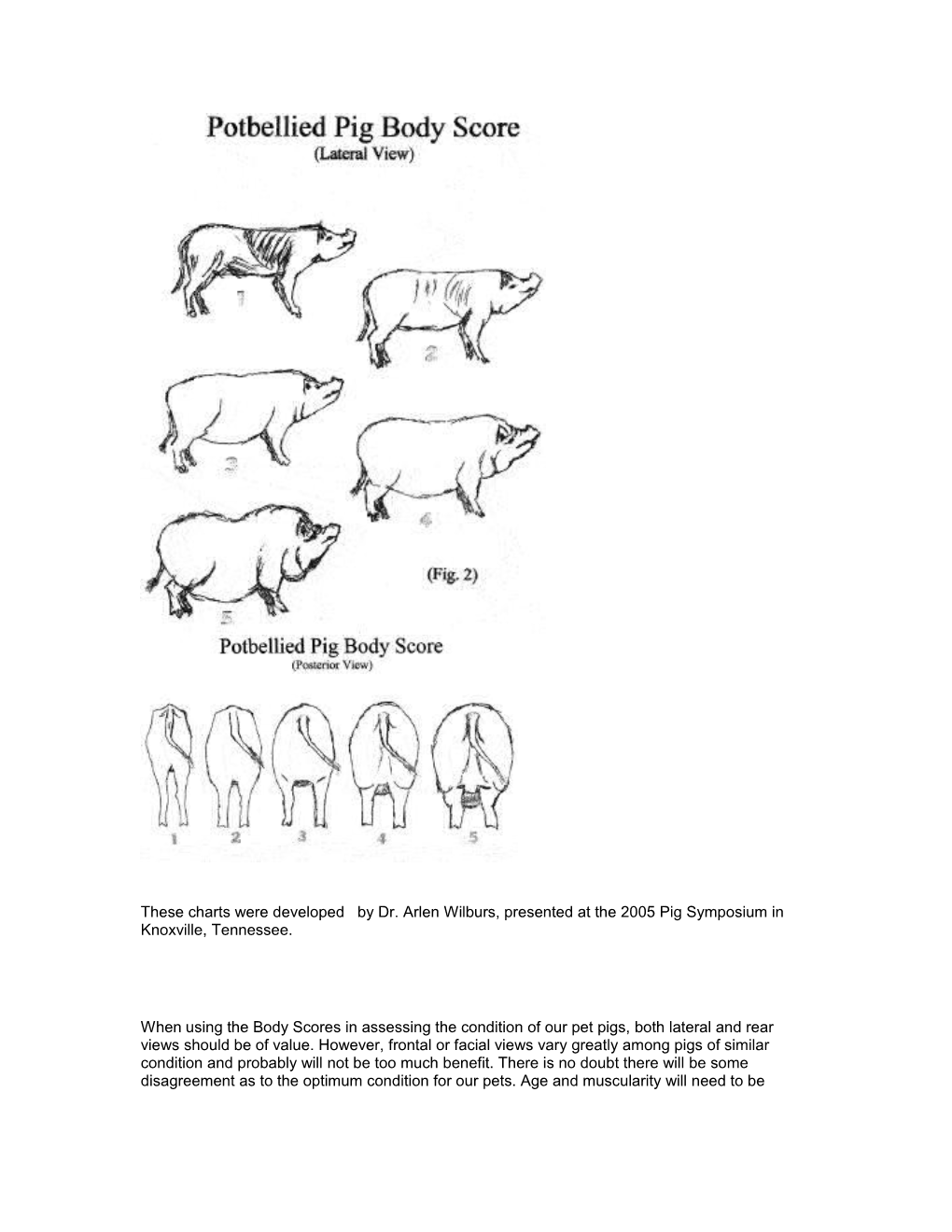 The Following Is a Description of the Various Body Scores (See Figures 1 and 2)