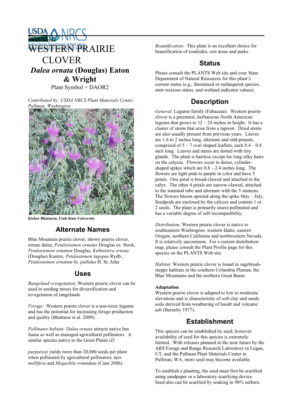 Western Prairie Clover Plant Guide