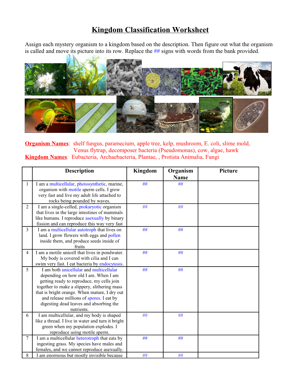 Kingdom Classification Worksheet