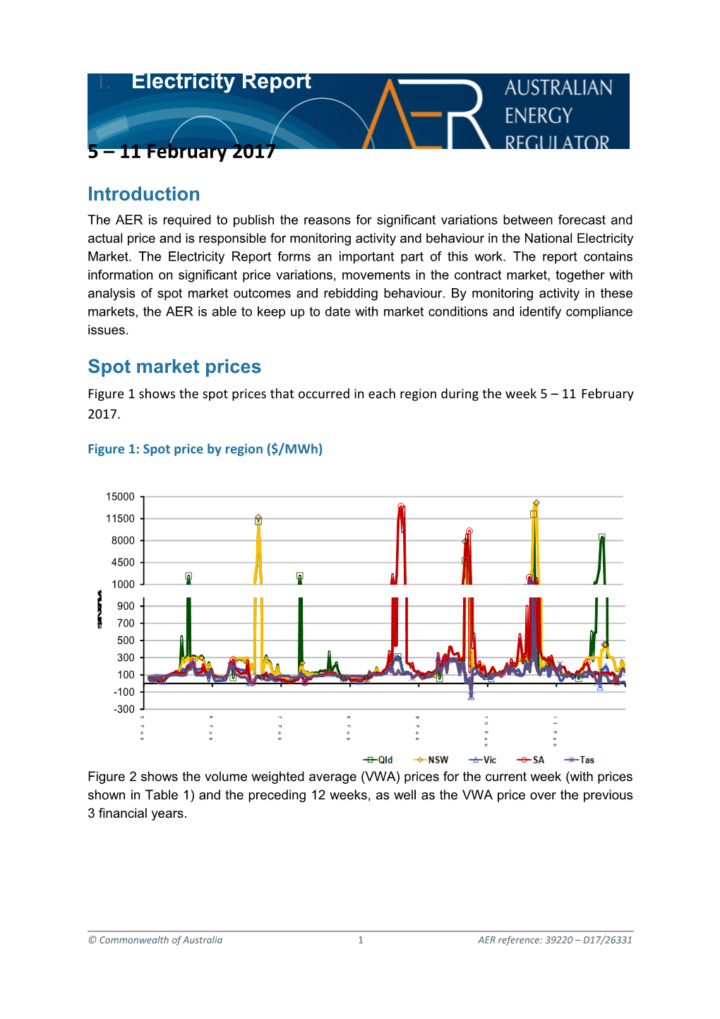 Electricity Report