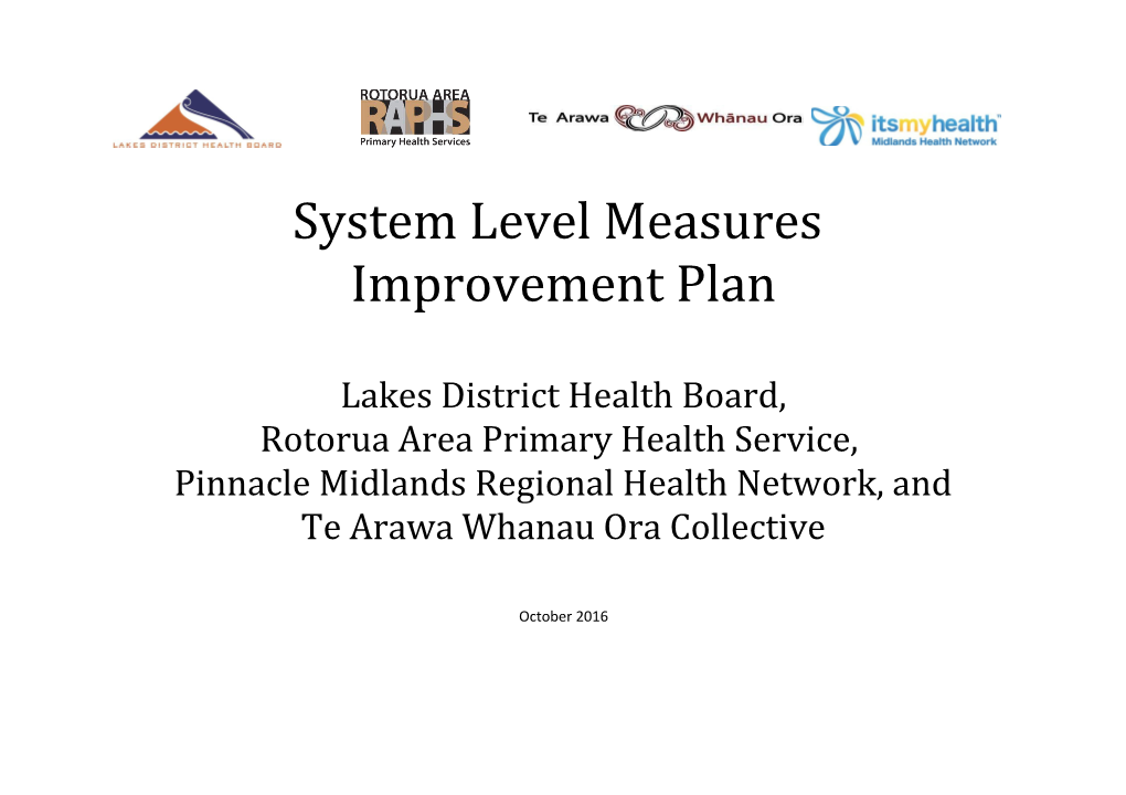 System Level Measures Improvement Plan