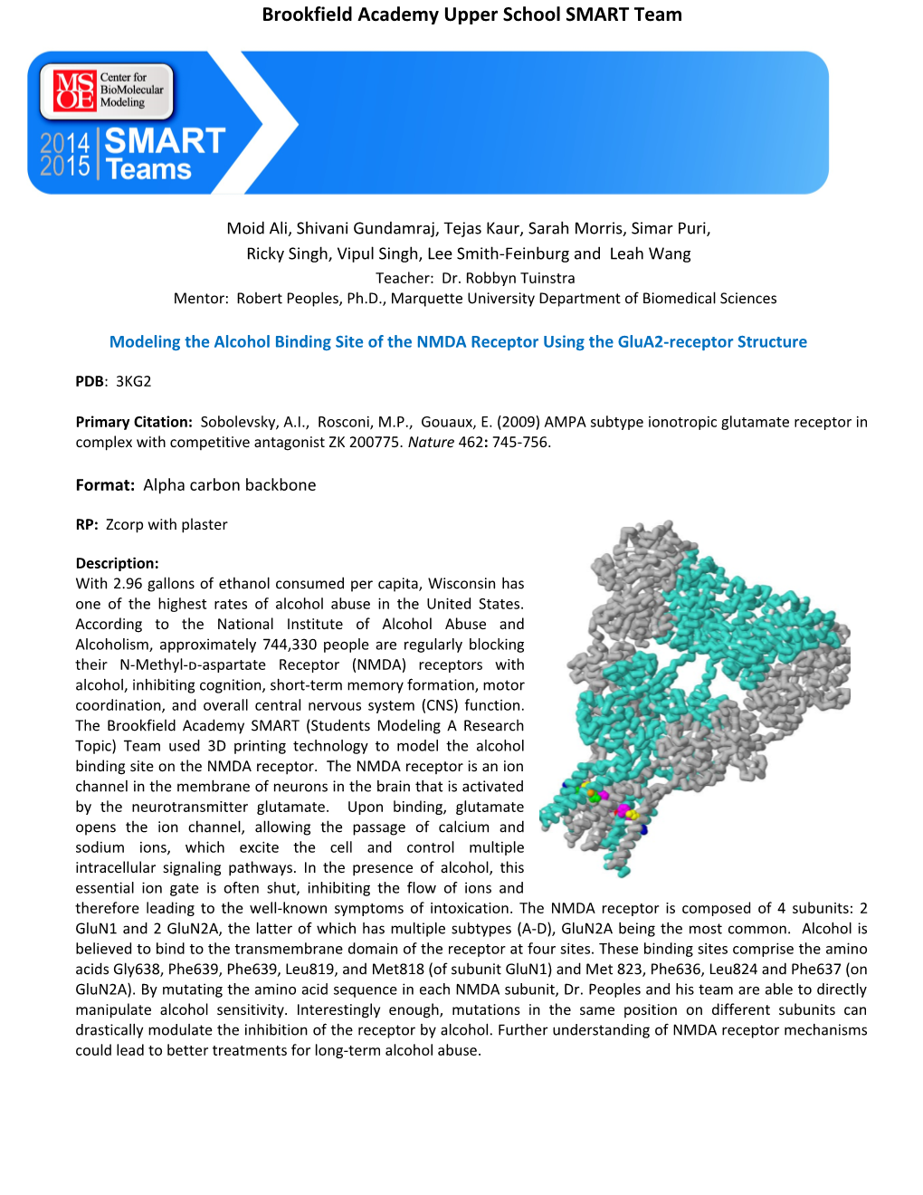 Modeling the Alcohol Binding Site of the NMDA Receptor Using the Glua2-Receptor Structure