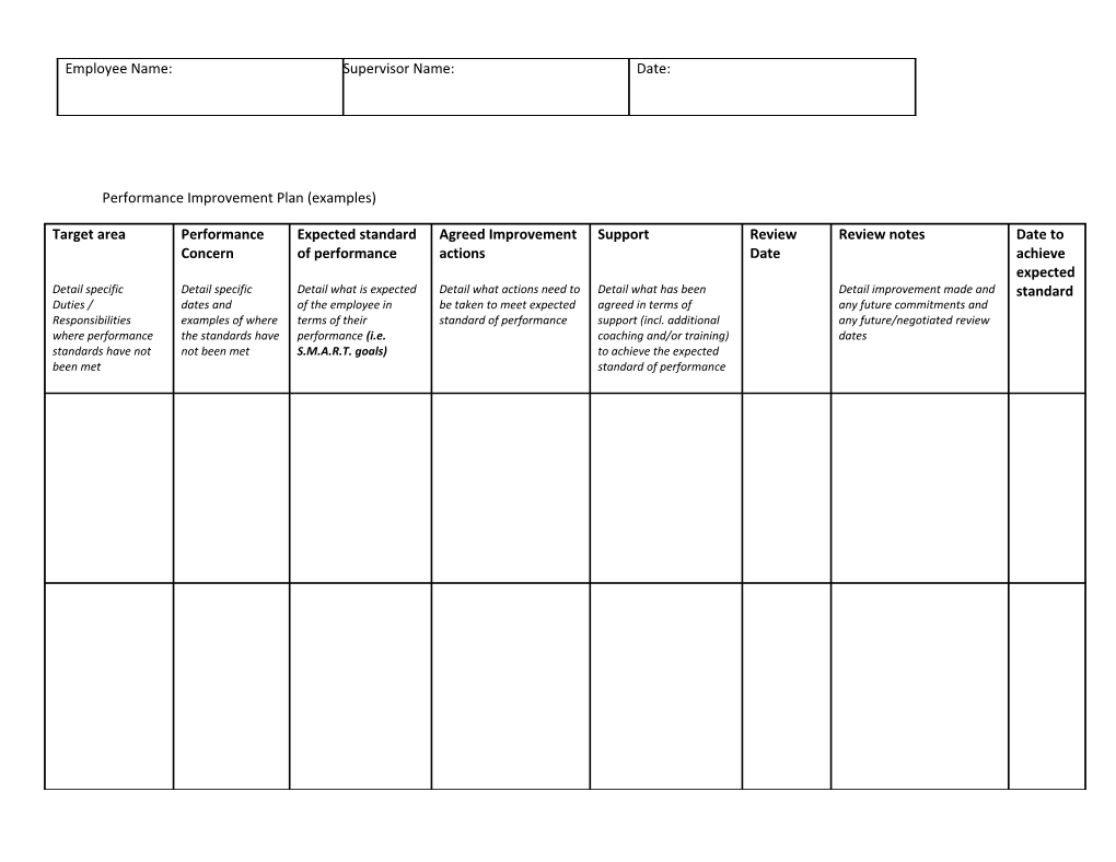 Performance Improvement Plan (Pip) Guidelines