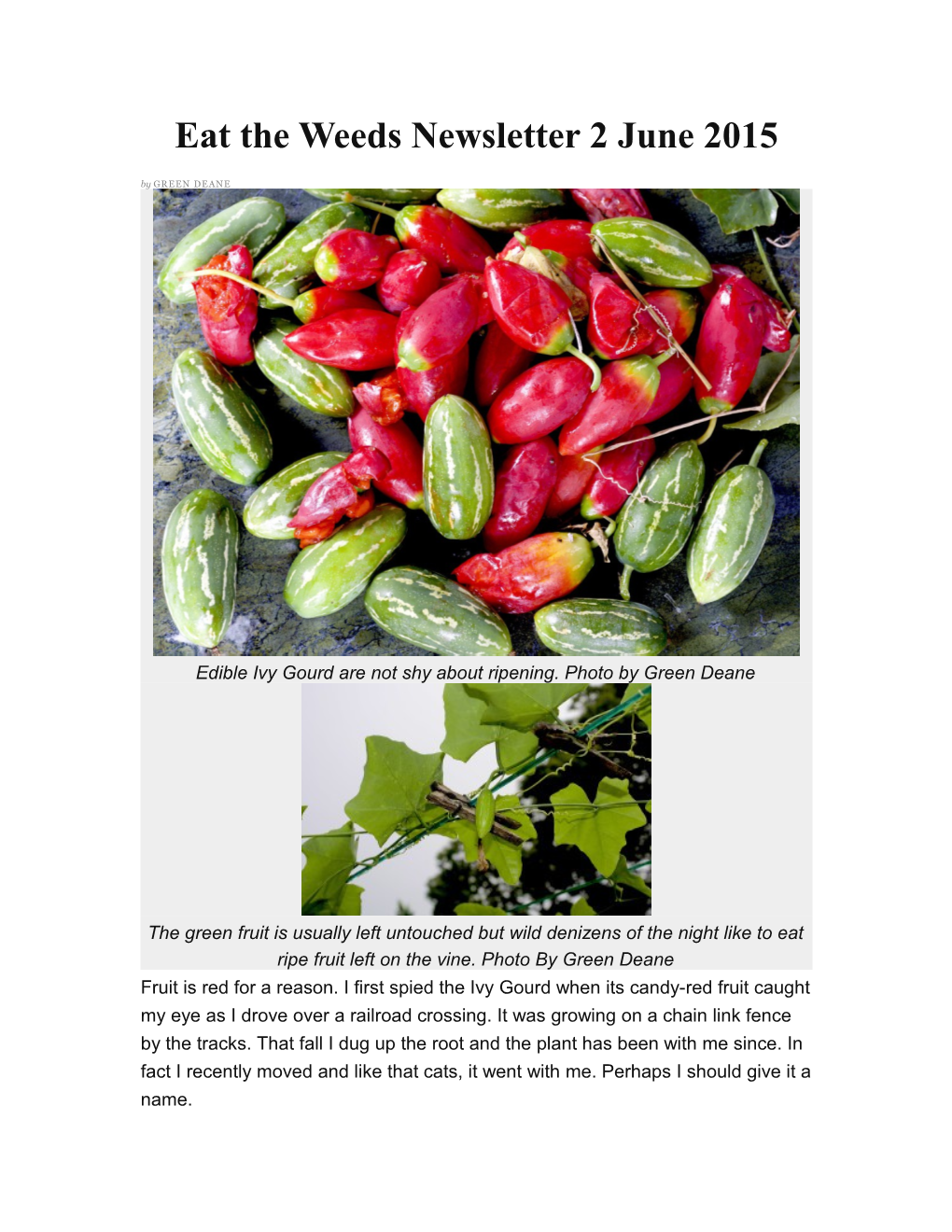 Eat the Weeds Newsletter 2 June 2015