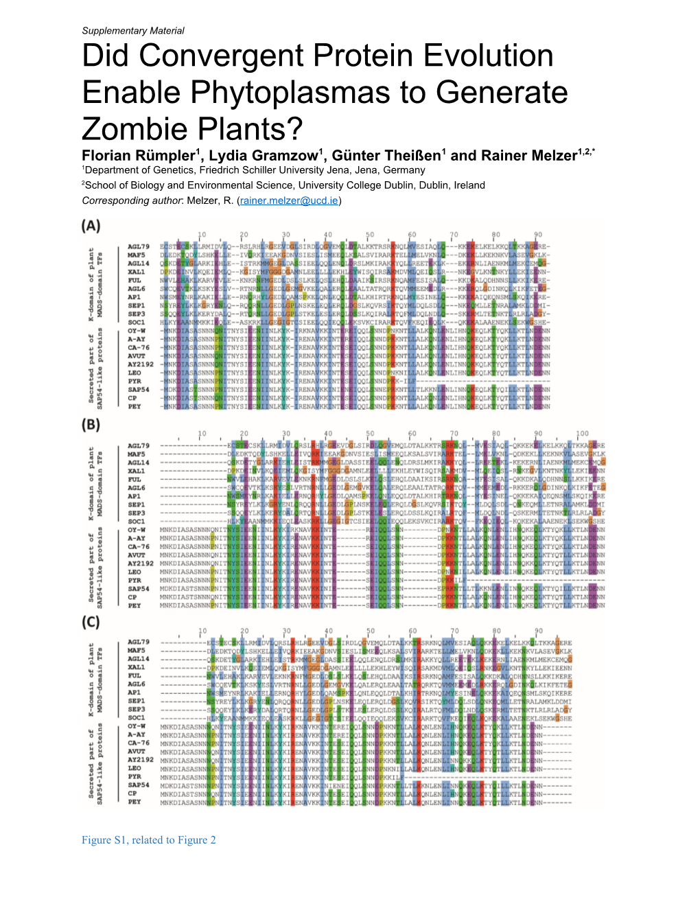 Did Convergent Protein Evolution Enable Phytoplasmas to Generate Zombie Plants?