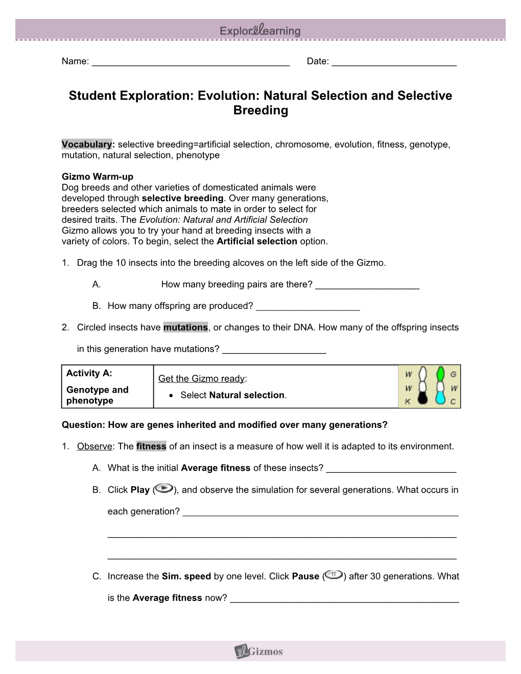 Student Exploration Sheet: Growing Plants s15