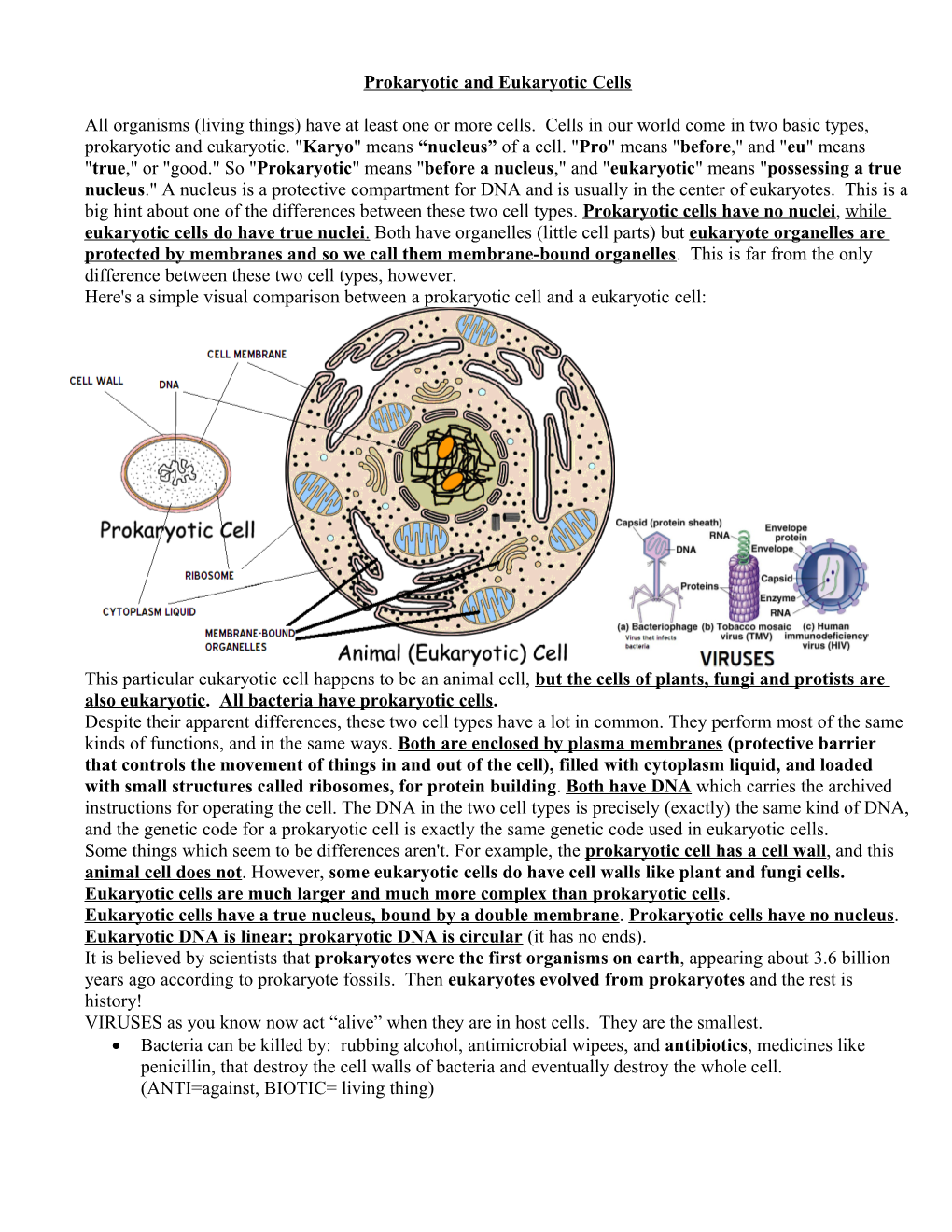 Prokaryotic and Eukaryotic Cells