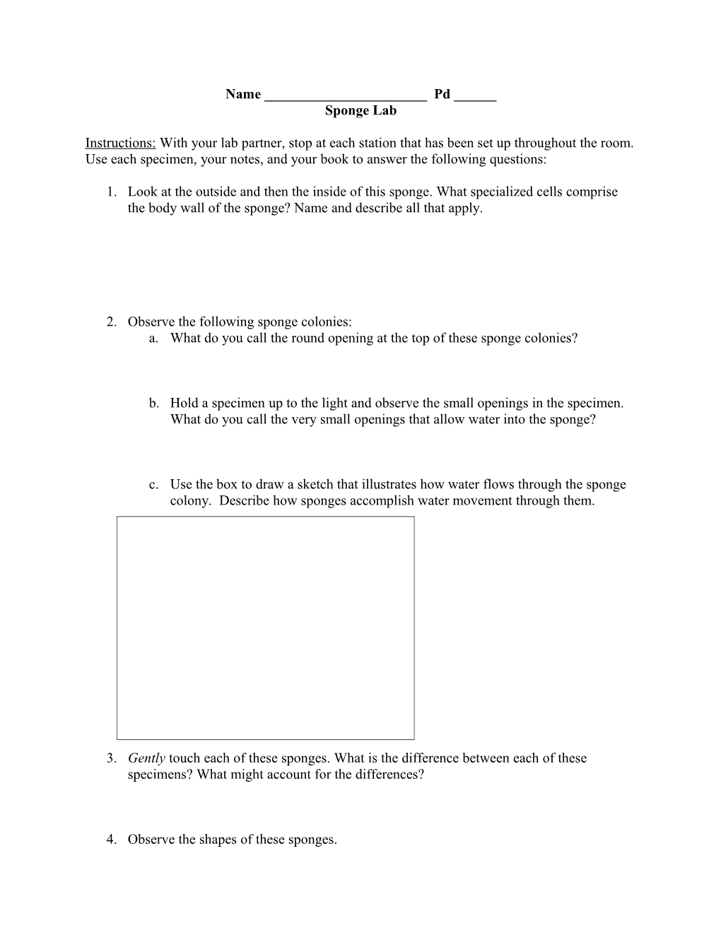 2. Observe the Following Sponge Colonies