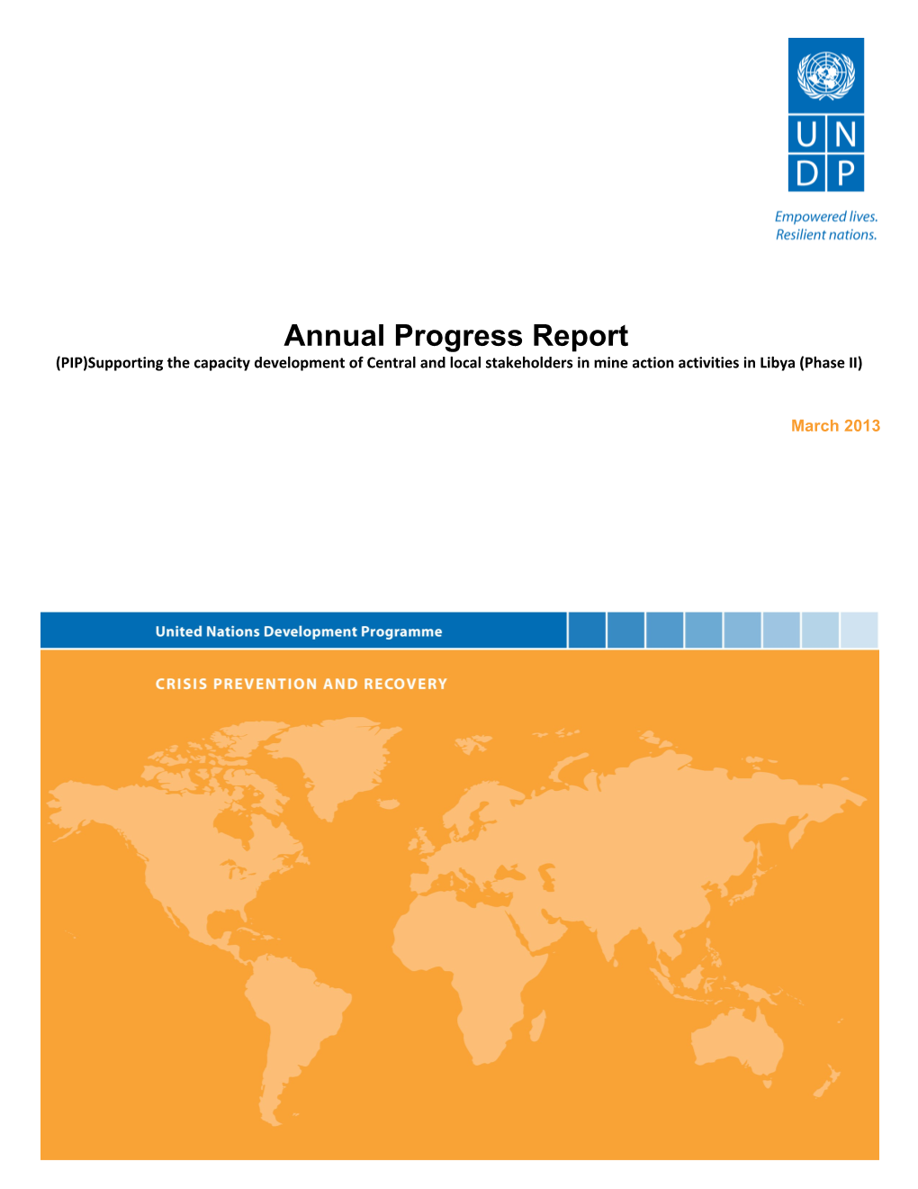 Project Report Template