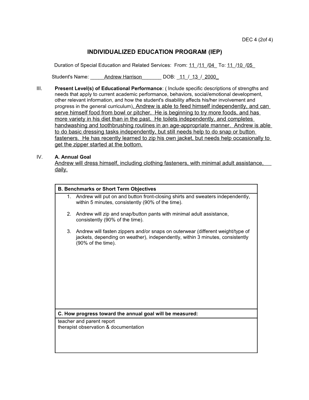 Individualized Education Program (Iep)