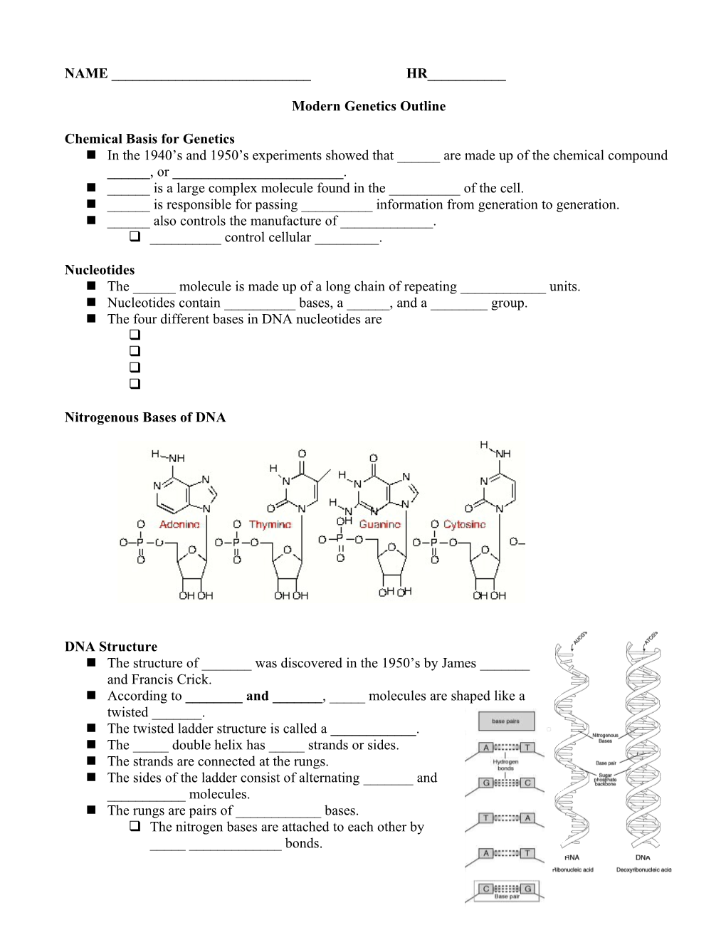 Modern Genetics Outline