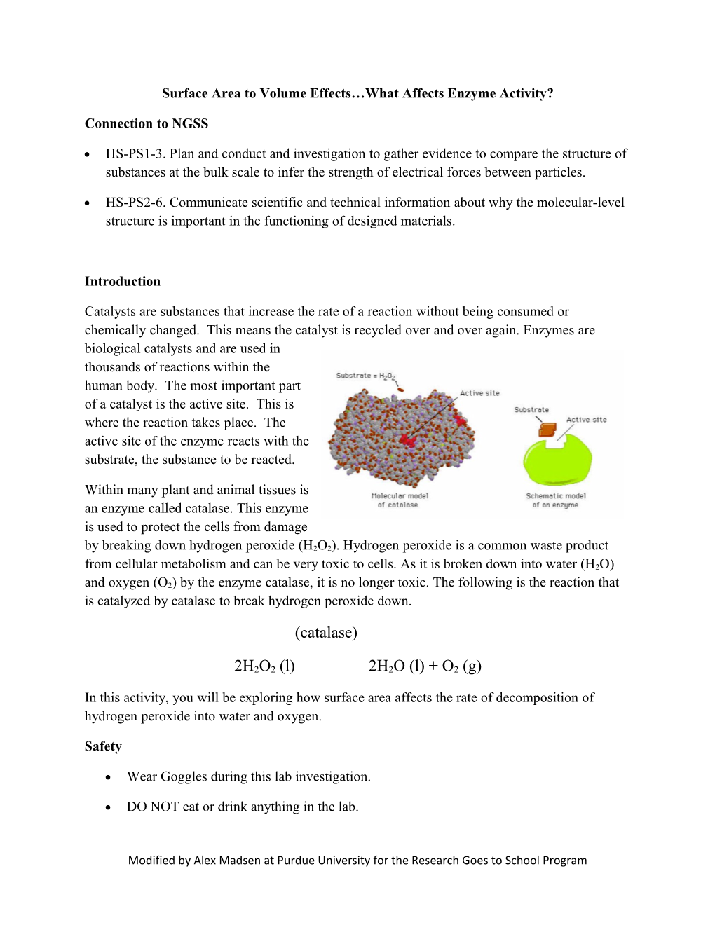 Surface Area to Volume Effects What Affects Enzyme Activity?