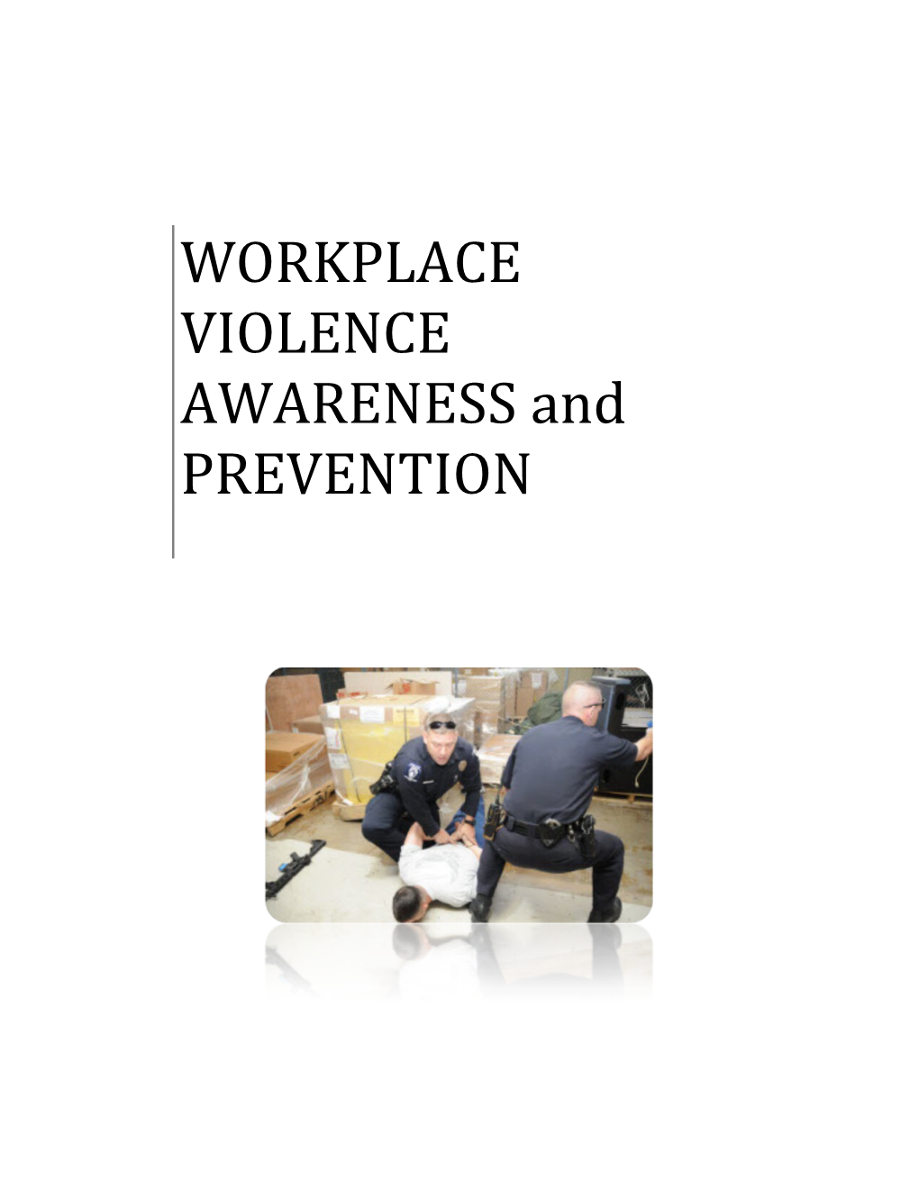 WORKPLACE VIOLENCE AWARENESS and PREVENTION