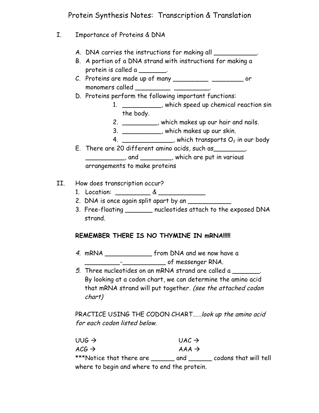 Protein Synthesis Notes: Transcription & Translation