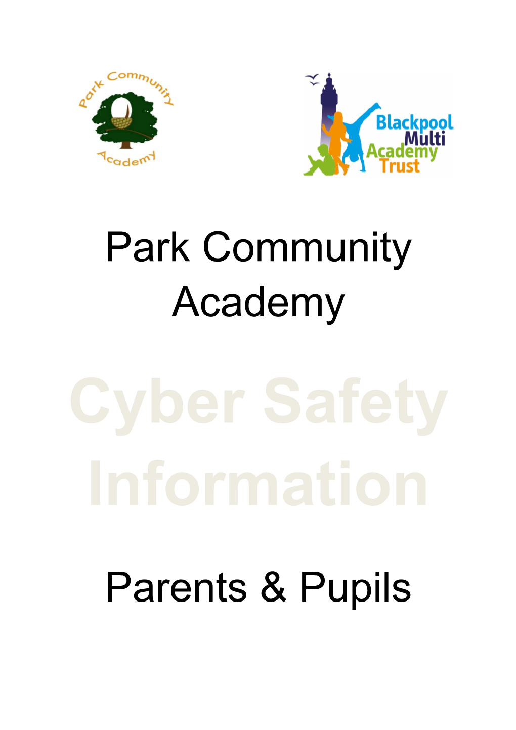 Cyber Safety Information