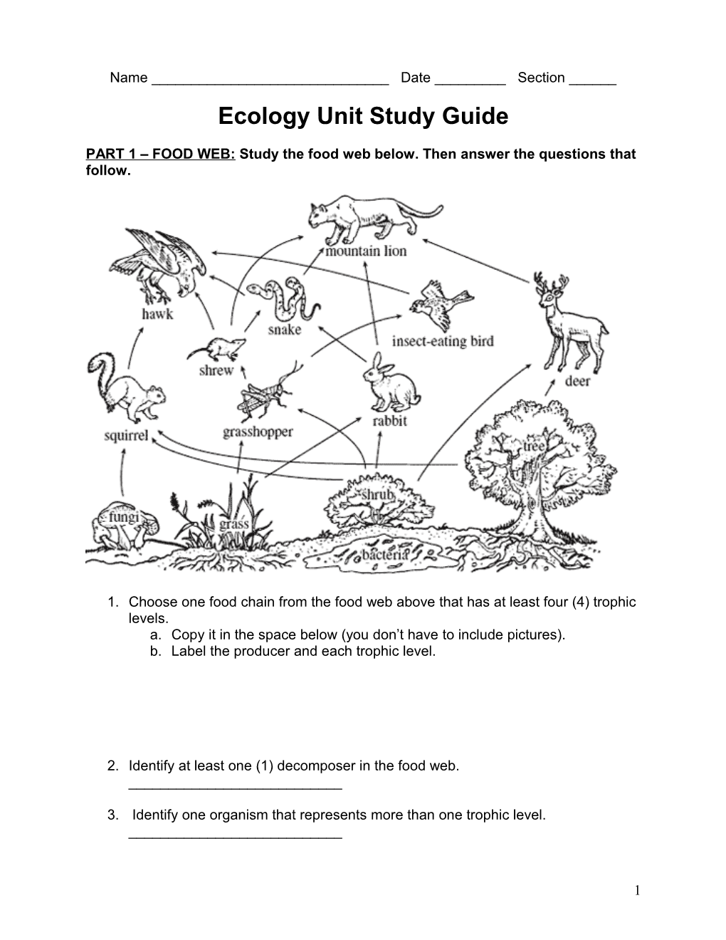 Ecology Unit Study Guide