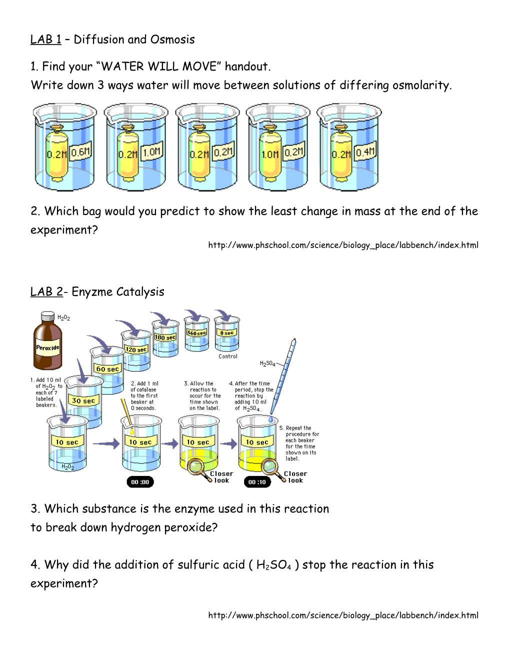 LAB 1 Diffusion and Osmosis