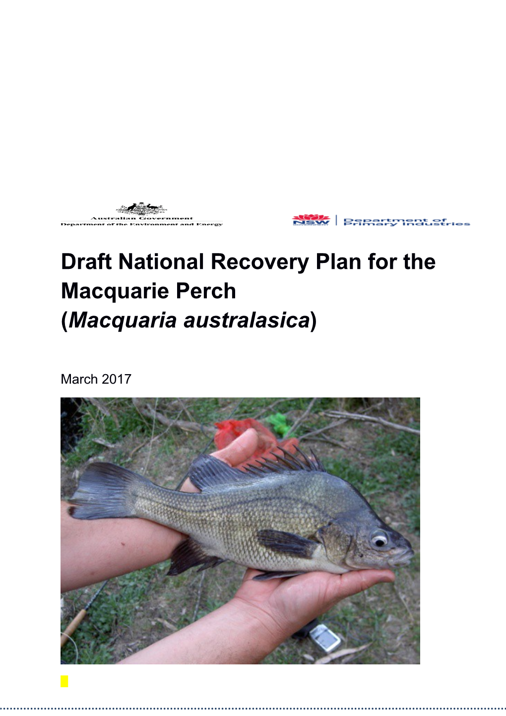 Draft National Recovery Plan for the Macquarie Perch (Macquaria Australasica)