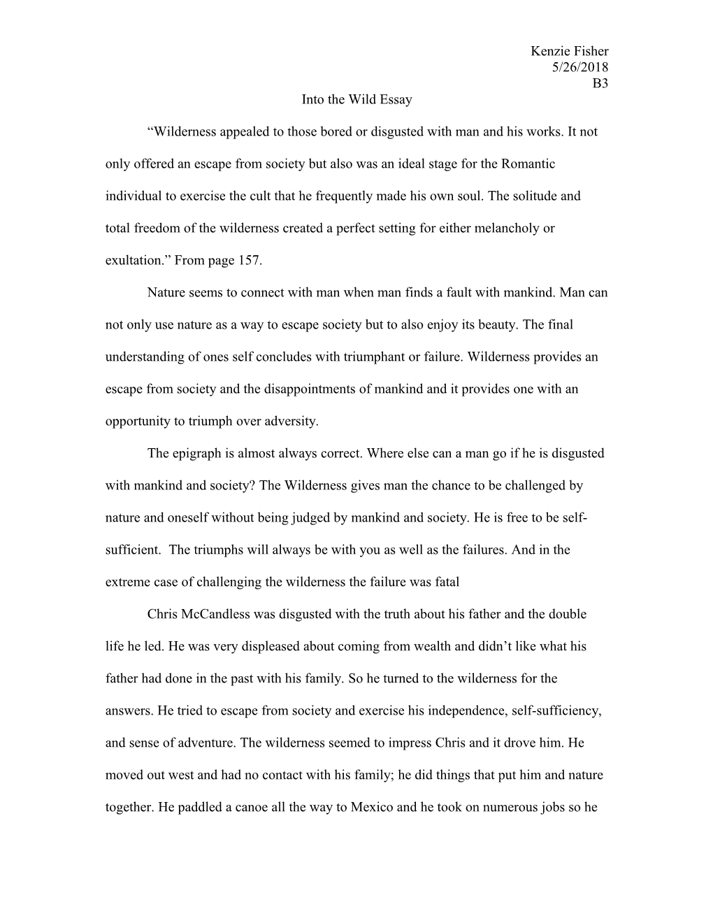 Into the Wild Essay