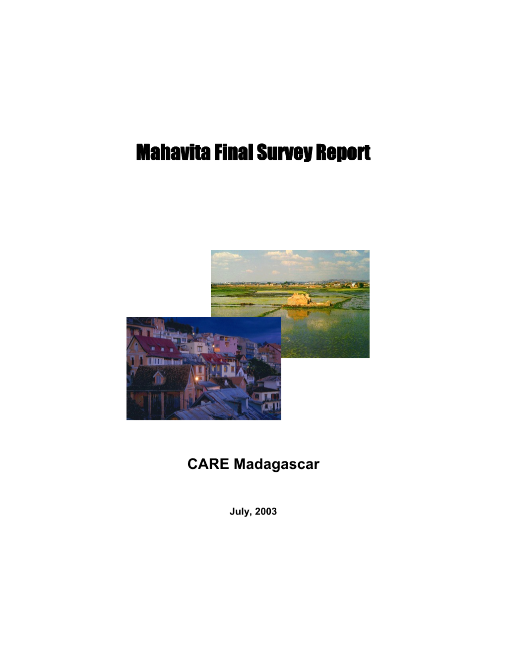 Mahavita Final Survey Report