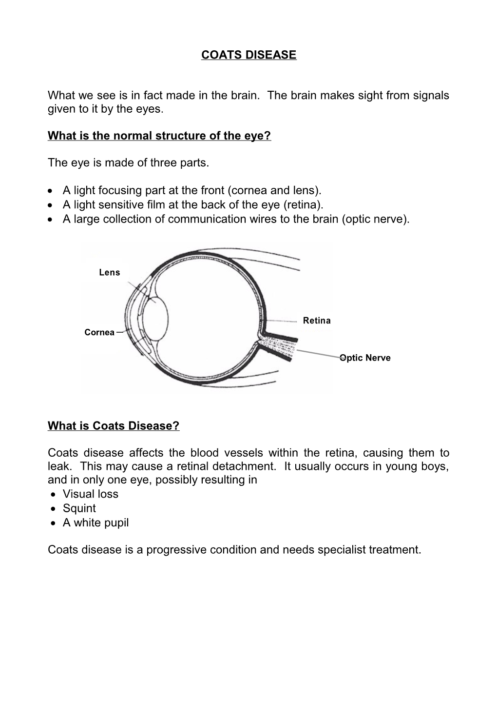 What Is the Normal Structure of the Eye?