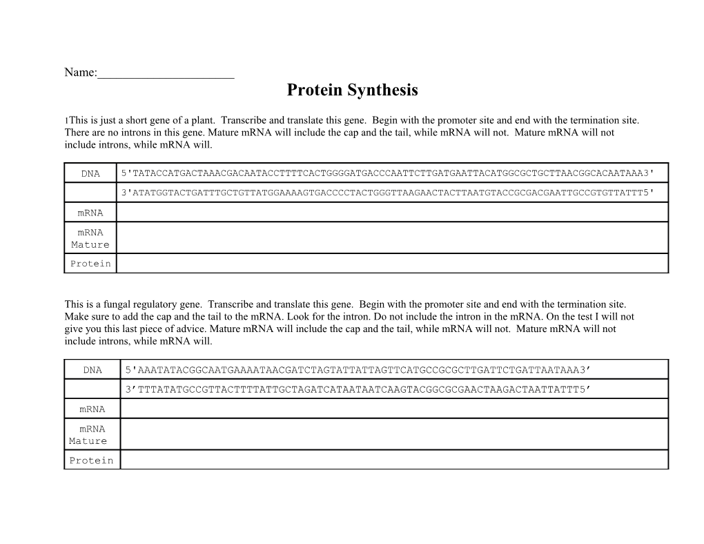 Protein Synthesis s1