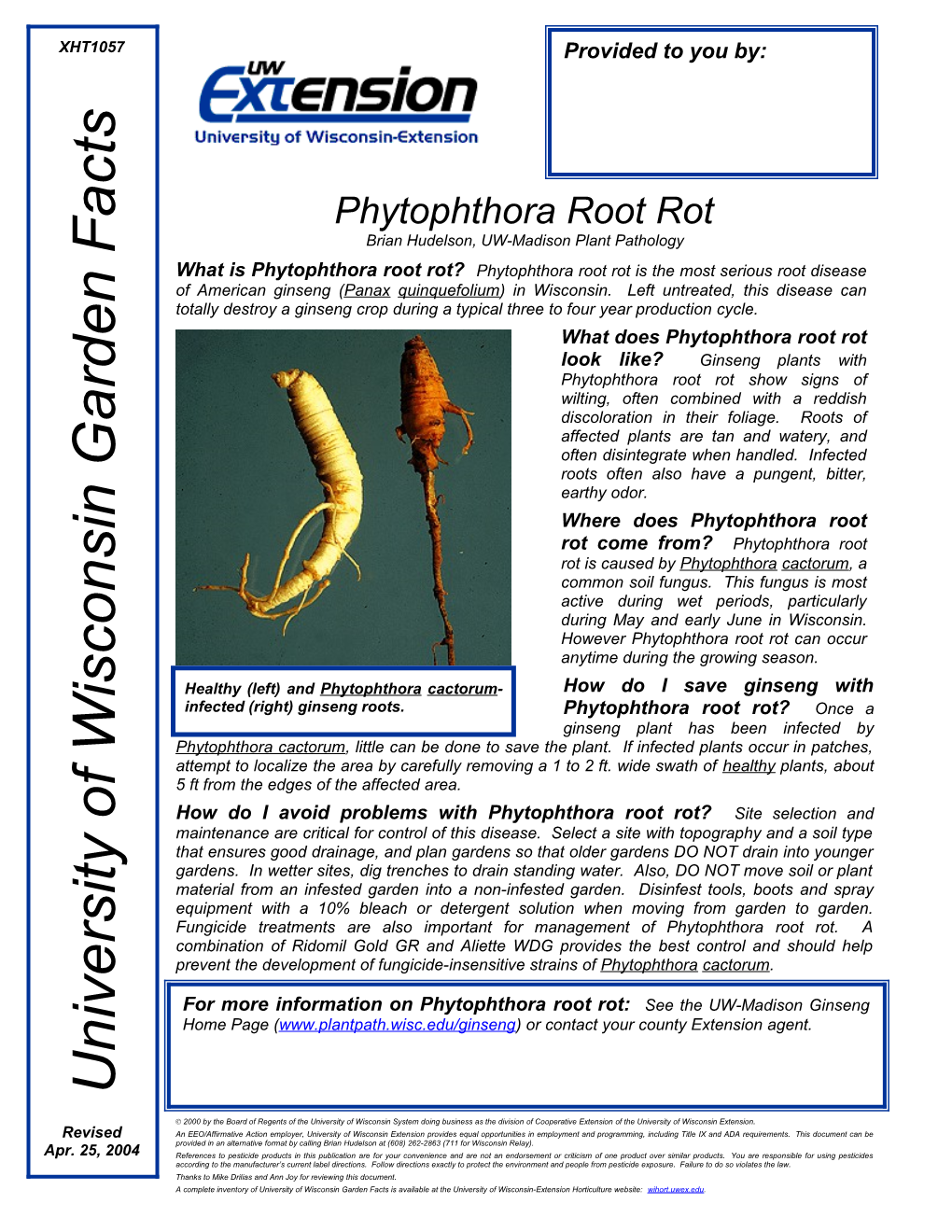 Phytophthora Root Rot