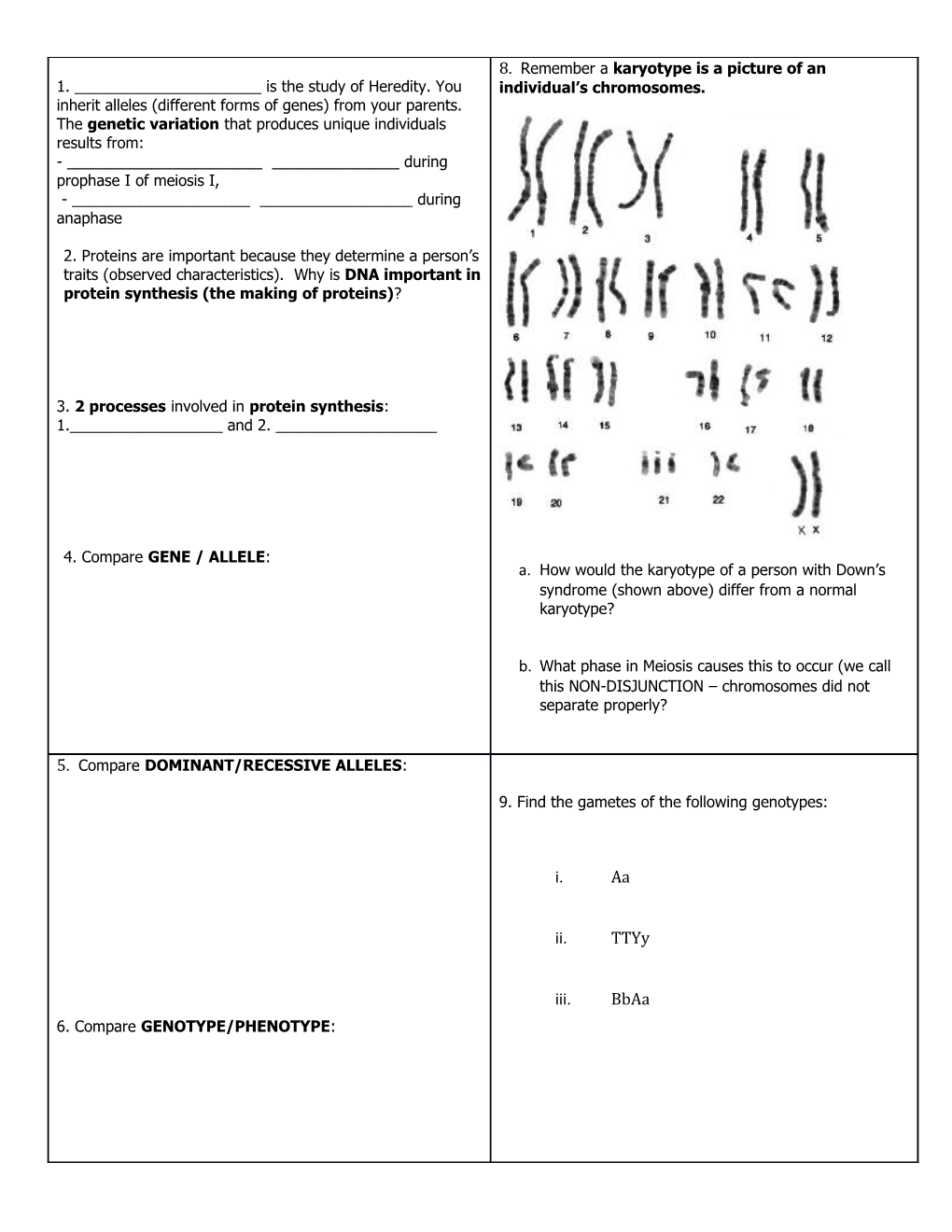 How Would the Karyotype of a Person with Down S Syndrome (Shown Above) Differ from a Normal