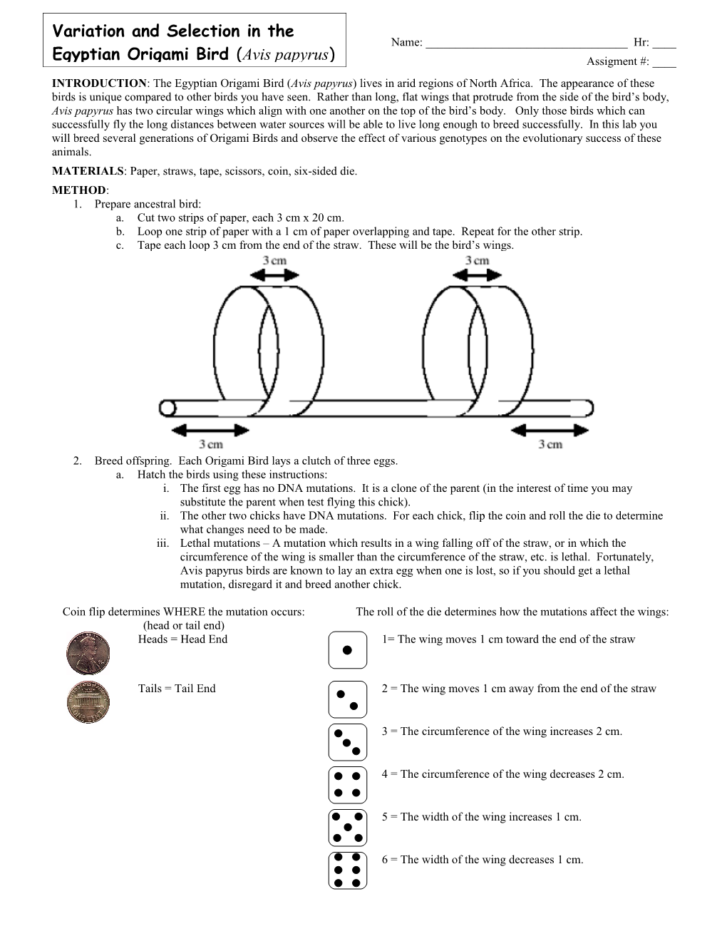 Variation and Selection in the Egyptian Origami Bird (Avis Papyrus)