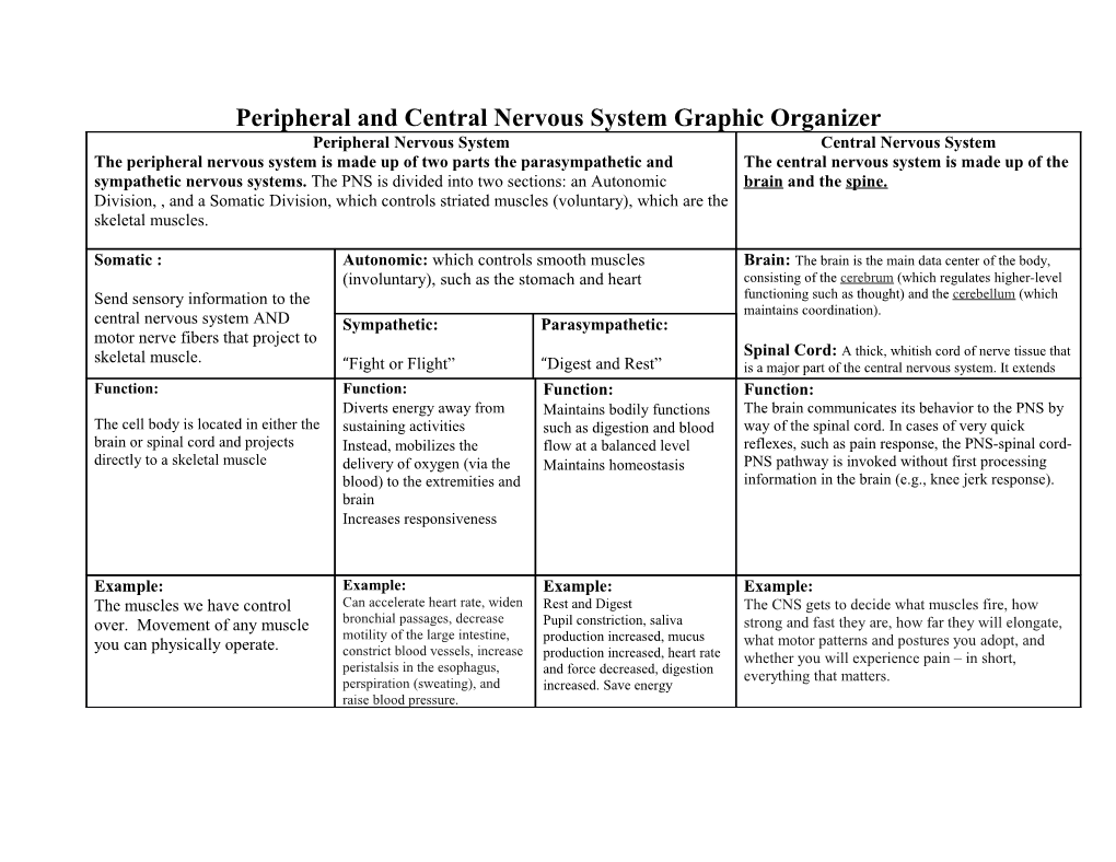 Peripheral and Central Nervous System Graphic Organizer