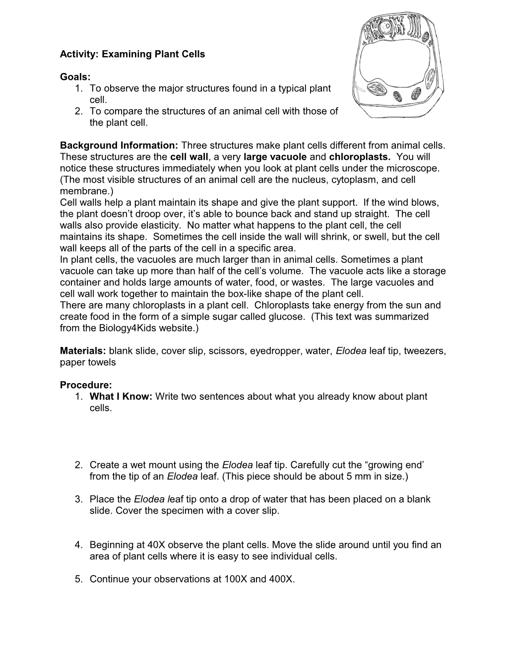 Activity: Examining Plant Cells