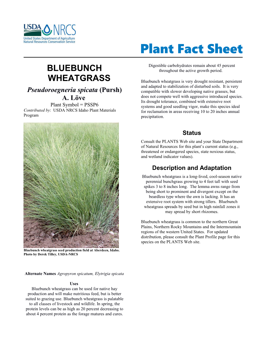 Plant Fact Sheet for Bluebunch Wheatgrass (Pseudoroegneria Spicata)