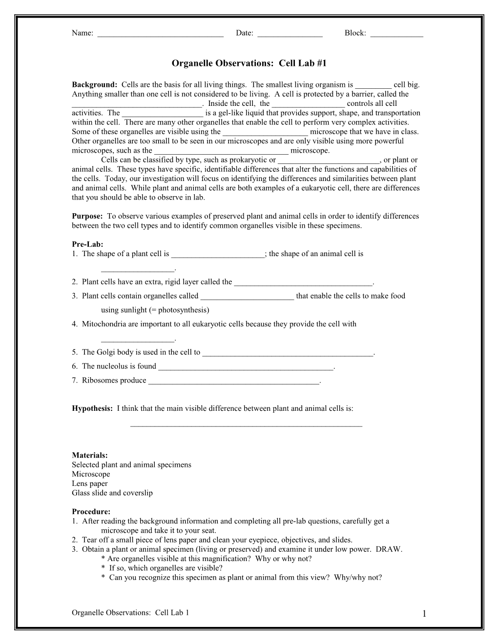 Organelle Observations: Cell Lab 1