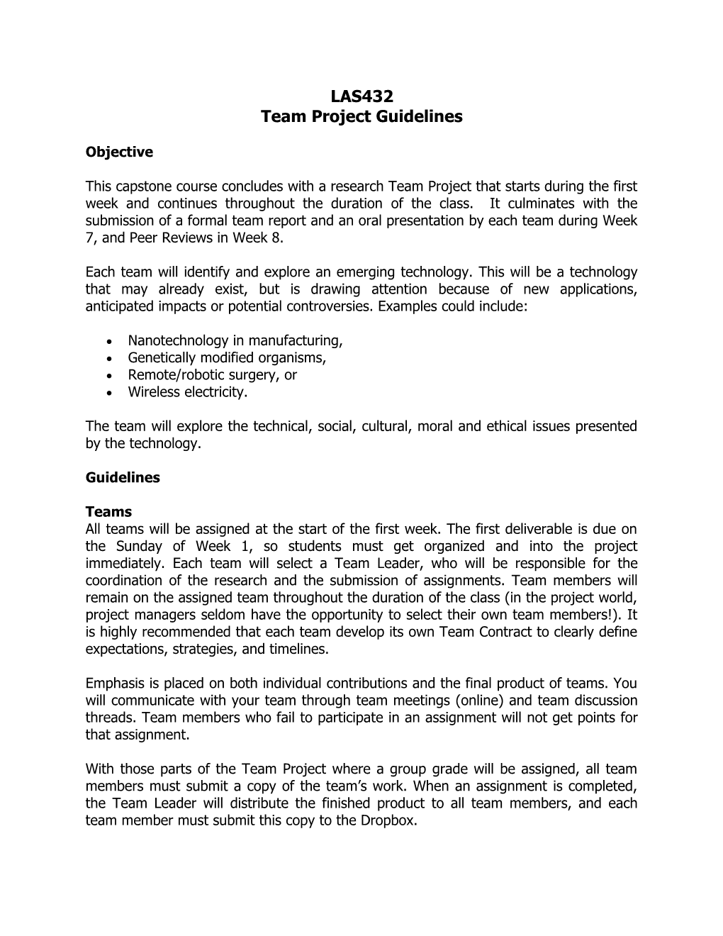 Team Project Guidelines