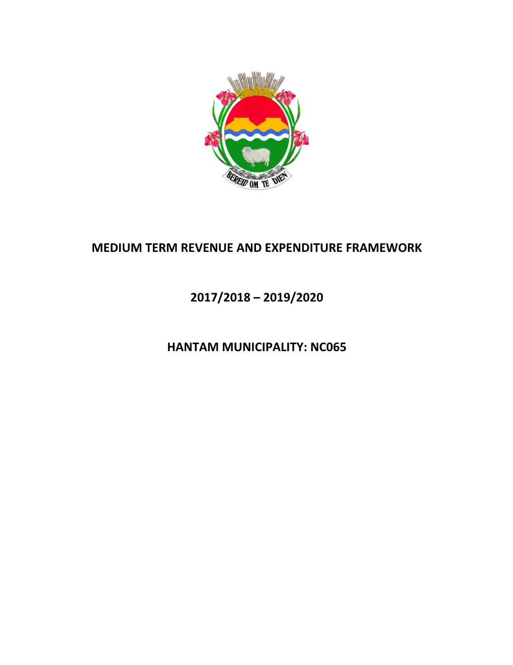 Medium Term Revenue and Expenditure Framework