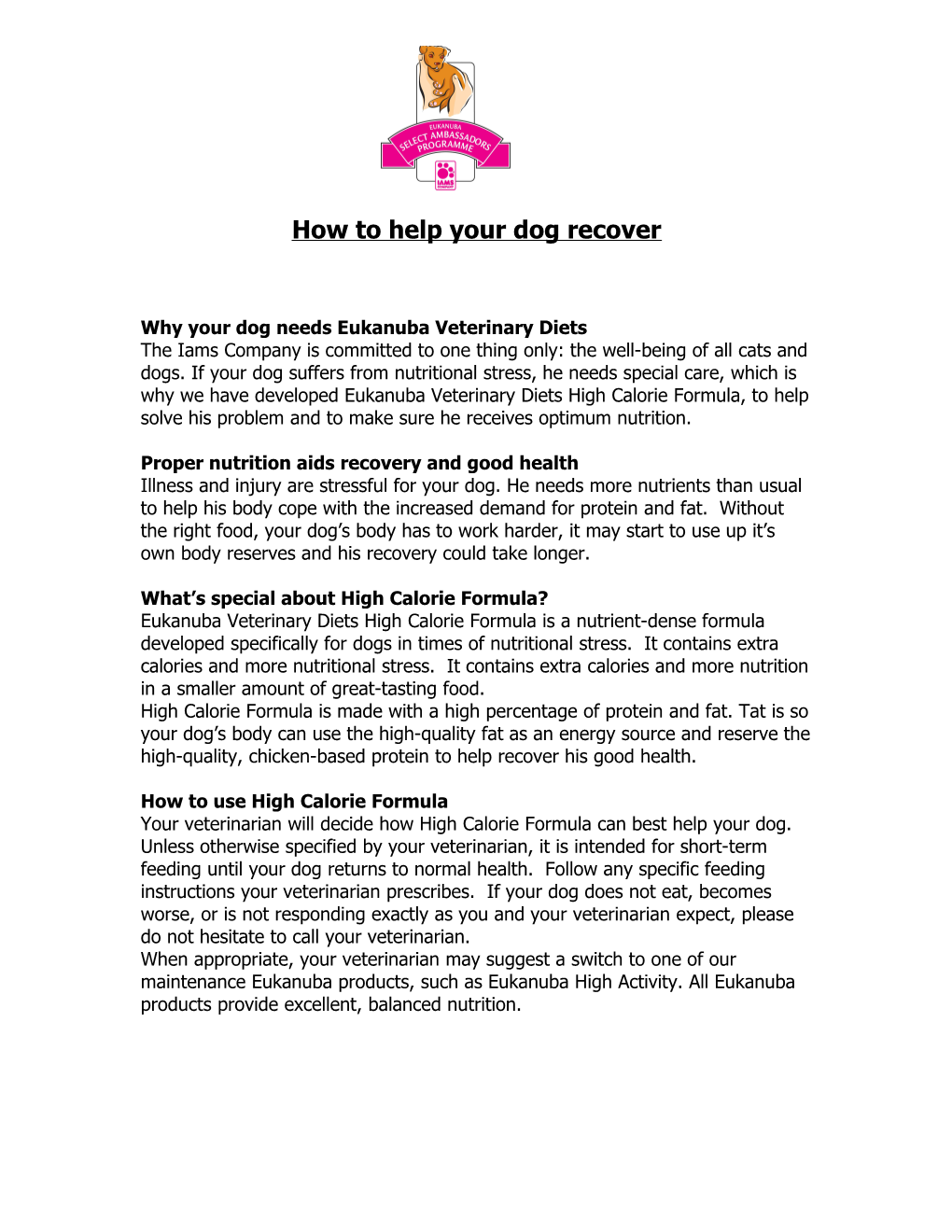 How to Help Your Dog Recover